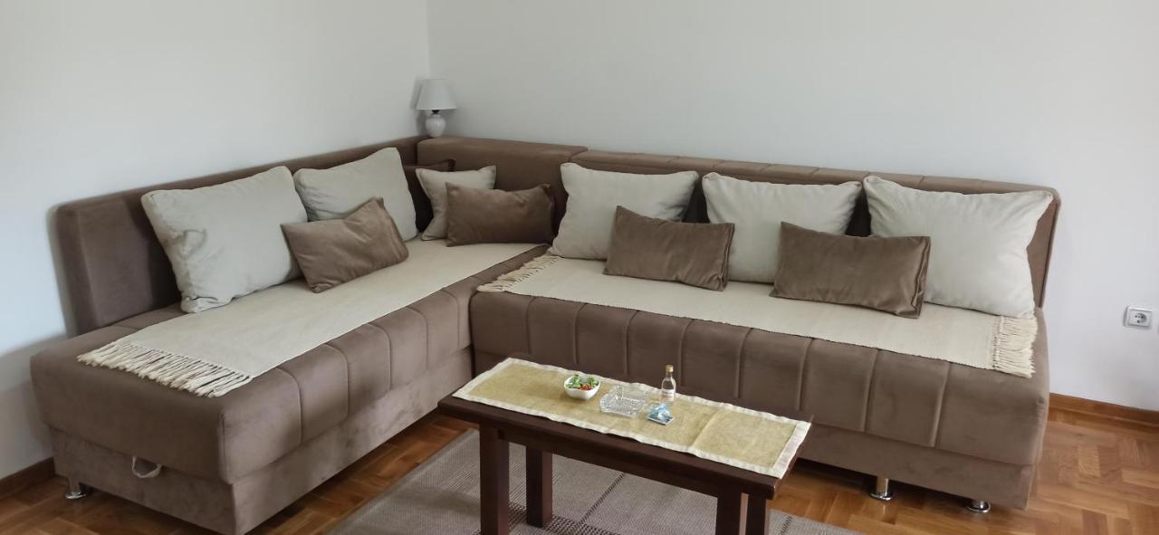 Apartment Laca Vrnjačka Banja Εξωτερικό φωτογραφία