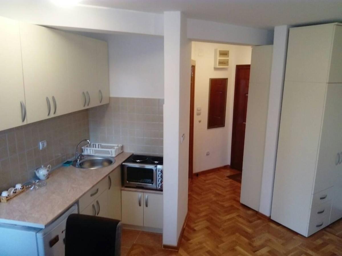 Apartment Laca Vrnjačka Banja Εξωτερικό φωτογραφία
